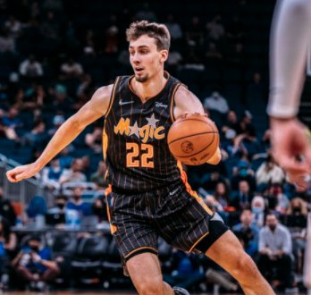 的新天下属 的新天下属